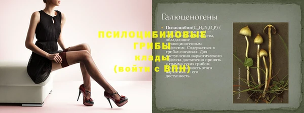 дмт Алексин